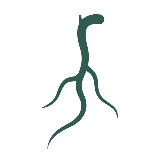Rooted logo